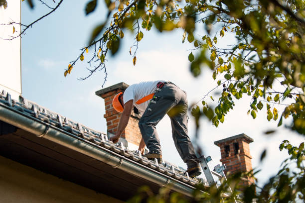 Roof Waterproofing Services